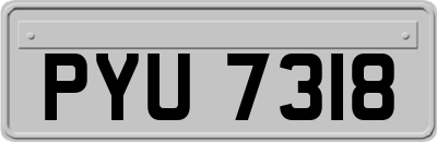 PYU7318