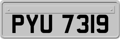 PYU7319