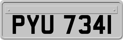 PYU7341