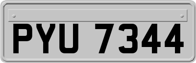 PYU7344