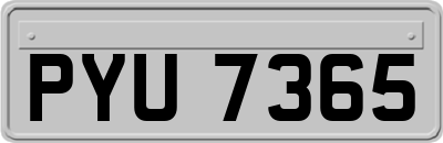 PYU7365