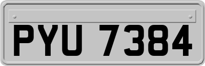 PYU7384