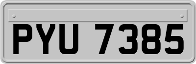 PYU7385