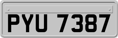 PYU7387