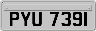 PYU7391