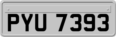 PYU7393