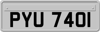 PYU7401