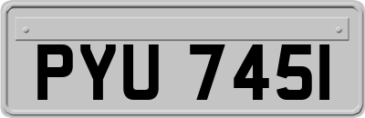 PYU7451