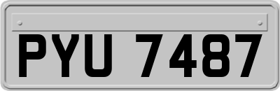 PYU7487