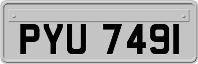 PYU7491