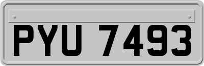 PYU7493