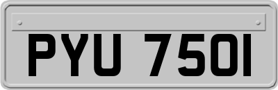 PYU7501