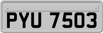 PYU7503