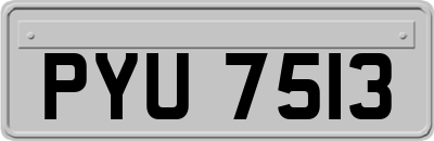 PYU7513