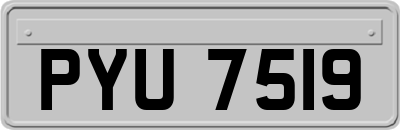 PYU7519