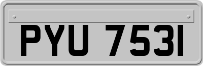 PYU7531