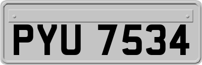 PYU7534