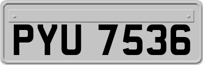 PYU7536