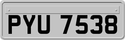 PYU7538