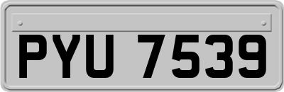 PYU7539