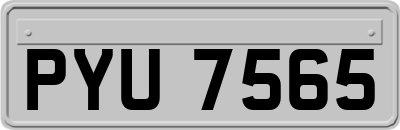 PYU7565