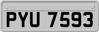 PYU7593