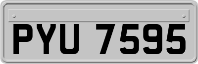 PYU7595