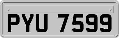 PYU7599