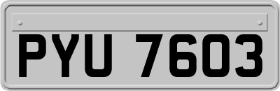 PYU7603