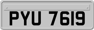 PYU7619