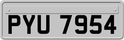 PYU7954