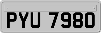 PYU7980