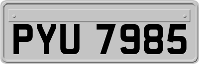 PYU7985