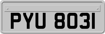 PYU8031