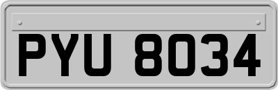 PYU8034