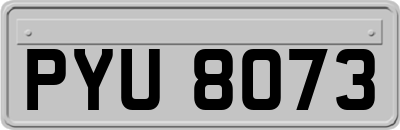 PYU8073