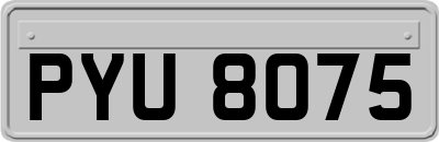 PYU8075