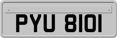 PYU8101