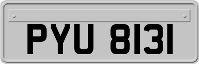 PYU8131