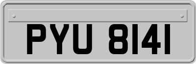PYU8141