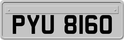 PYU8160