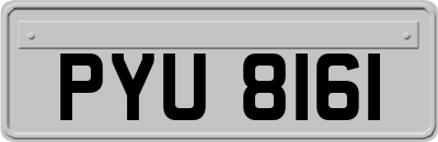 PYU8161
