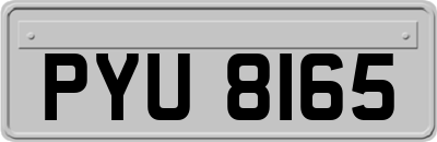 PYU8165