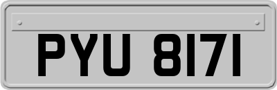 PYU8171
