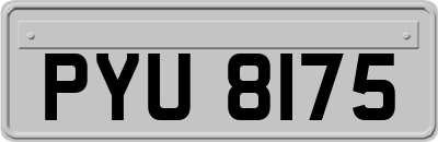 PYU8175