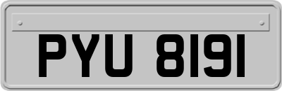 PYU8191