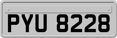 PYU8228