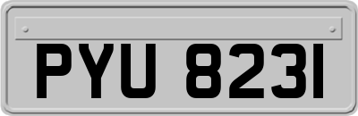 PYU8231