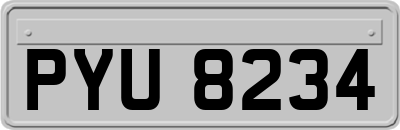 PYU8234