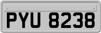 PYU8238